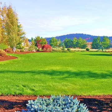 High Tech Turf Renovator Technology To YOU !
