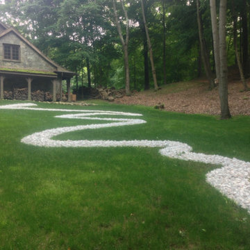 Back Yard Gardens