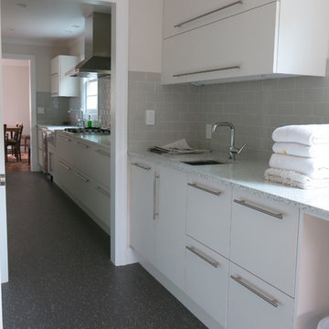 Remodel in Petaluma
