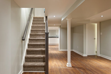 Basement - mid-sized contemporary underground medium tone wood floor basement idea in Toronto with green walls