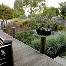 Dream Home (garden)