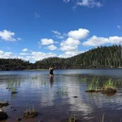 Kimberly Lawrence's photo