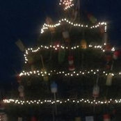 Foto von Anna D'Agostino Sullivan