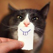 Joshua Zablocki's photo