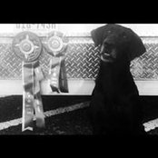 Pat Murphy's photo