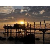 Rose Tiro's photo