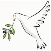 Basak Perim Tsilkara's photo