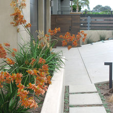 walk way