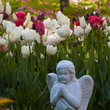 Spring Bulb Garden
