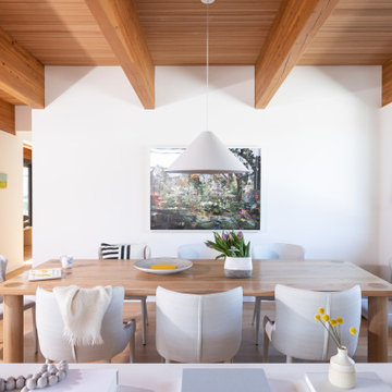 Whistler Modern Residence