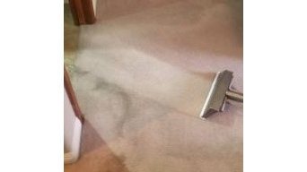 S&G Carpet Cleaning