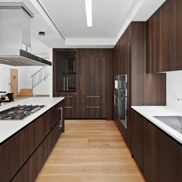 TriBeCa NY Penthouse Kitchen