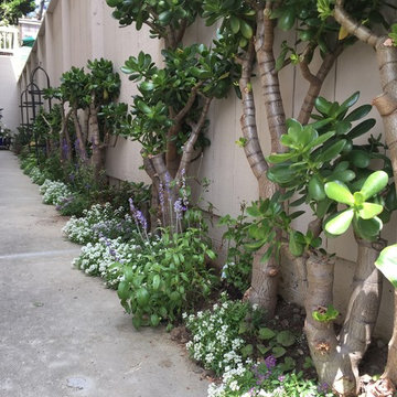 Garden path makeover