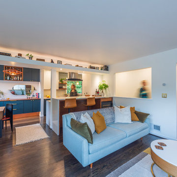 Burlingame Renovation