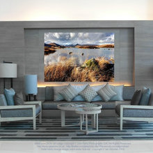 Living Room Ideas