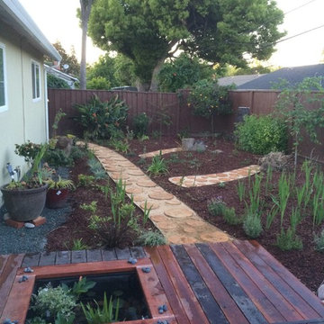 Backyard: Now a Permaculture Oasis