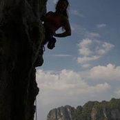 Maja Adriaensen's photo