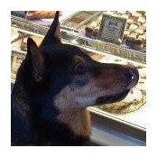 Colleen Williams's photo