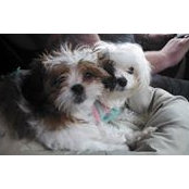 Cassy Smith's photo
