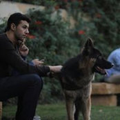 Mostafa Shaheen's photo