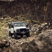 Ryan Newhall's photo