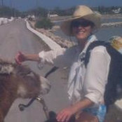 Alison O'Leary's photo