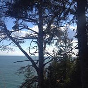 Caro Lauzon's photo