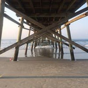 Diana Krieger's photo