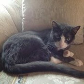 Ann Strahlendorf's photo