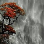 Rhonda Alexander's photo
