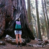 Liese Schmitt's photo
