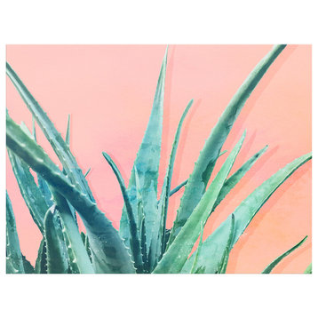 Ready2HangArt 'Aloe Need' Wrapped Canvas Succulent Wall Art, 30"x40"