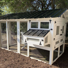 Chicken Coop