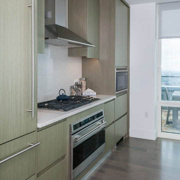 388 Bridge Penthouse - F, Brooklyn
