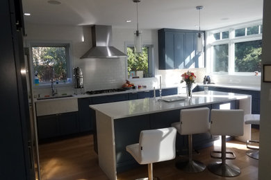 Kitchen - contemporary kitchen idea in DC Metro