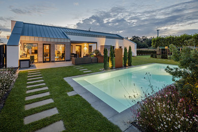 Источник вдохновения для домашнего уюта: большой бассейн в современном стиле
