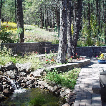 Peaceful Backyard