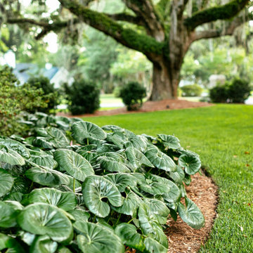 Charleston Harbor Home