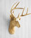 Wall Charmers Mounted Resin Deer Head, Gold, Metallic