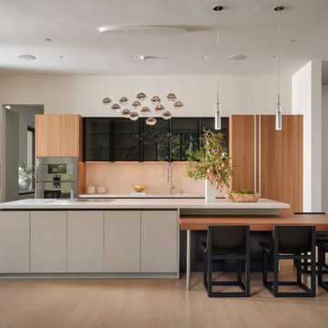 Contemporary Kitchen