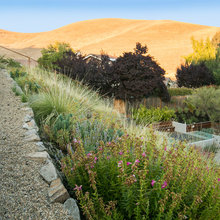 Planted Terraces