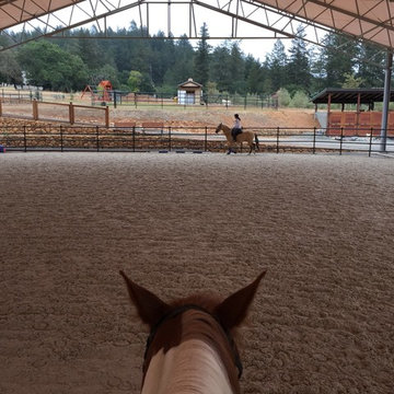 Terra De Belos Cavalos