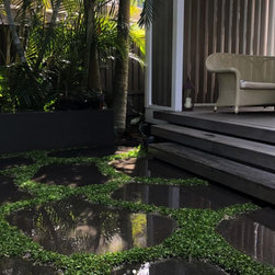 Exotic Grasses - Products