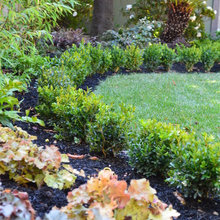 Plymouth backyard revamp