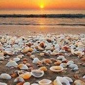Inma Recuero's photo