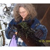 Diane Istvan's photo