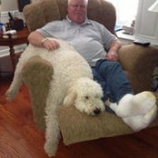 Ronald Williams's photo