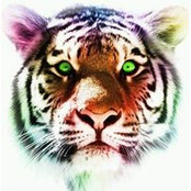 Lindsay Young's photo