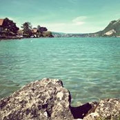 Damien Mercandino's photo