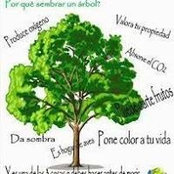 Barbara Perkins's photo